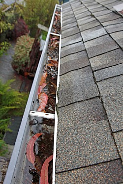 eavestrough-1.jpg: 283x424, 261k (May 18, 2012, at 05:13 AM)